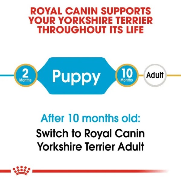 Royal Canin Yorkshire Terrier Puppy - Суха храна за подрастващи йоркширски териери от 2- до 10-месечна възраст